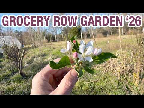 Grocery Row Garden: 2026 Reset for Peak Permaculture Yields