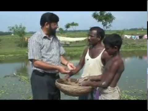 IRRI: Rice Science for a Better World