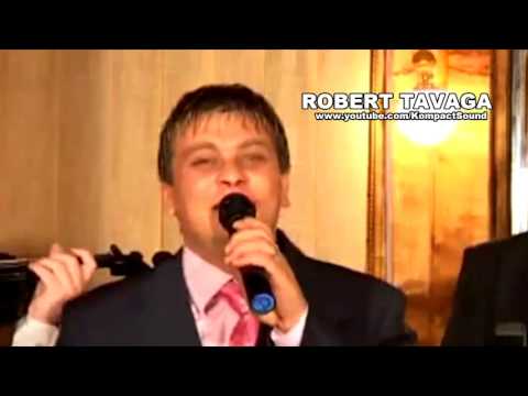 Robert Tavaga - Nu stiu ce sa ma mai fac Muzica de petrecere - Hore, Sarbe