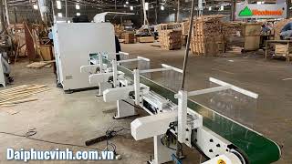 Máy cắt khuyết tật (cắt vạch phấn) Woodmaster | Full chuyền lựa phôi sau cắt