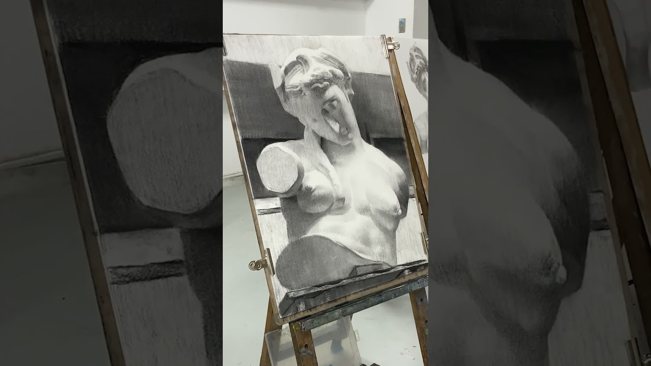 木炭の魔術師による美しすぎるデッサン/Ver.2-  #東京藝術大学  #油画科#美術予備校 #石膏デッサン #デッサン #ショナビ