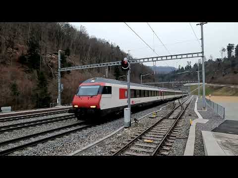 Trainspotter Effingen Personenzüge 16 3 2022