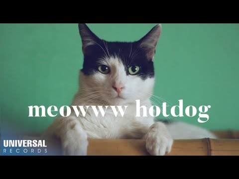 Meowww video