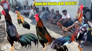 Download lagu Pasar Pedan klaten iwstimiwir bosku wirkun cerah hadir dan bk klasik blorok big size ganteng mp3