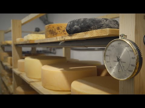 Kárpát-medence - Putnoky-Csicsó sajtkészítő műhely Nyújtódon 2021.08.15.