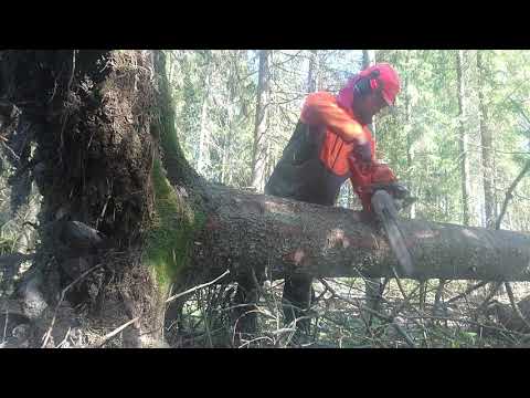 Stormkapet med husqvarna 550xpg