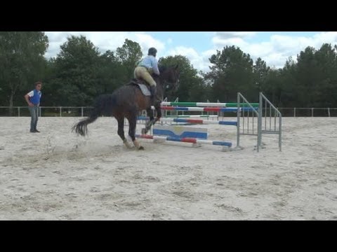 comment participer a un concours d'equitation