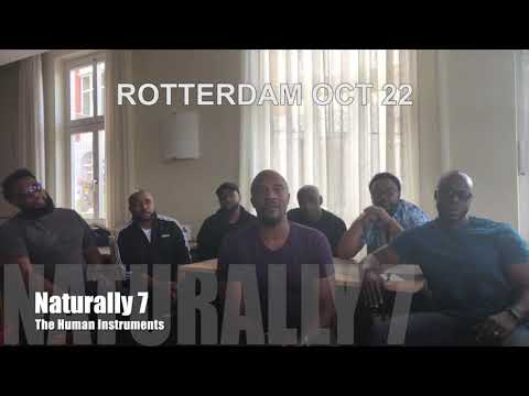 N7Personal Rotterdame