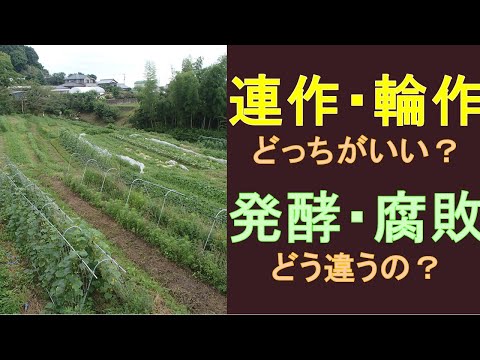 園芸 輪作を理解する