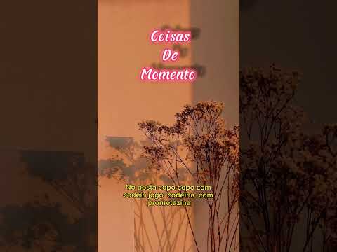 Gustavim mc & davn mc /  COISA DE MOMENTO🌹