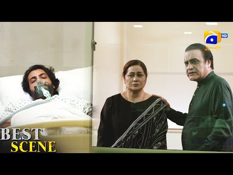 Habil Aur Qabil Episode 20 | Best Scene 02 | Asad Siddiqui - Nawal Saeed | Har Pal Geo