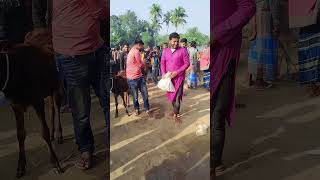 Download lagu Man tripped while leaving 😂👣 #pilipinas #napoli #bangladesh #sotsvideos 🙆🏻‍♂️😲😭 mp3