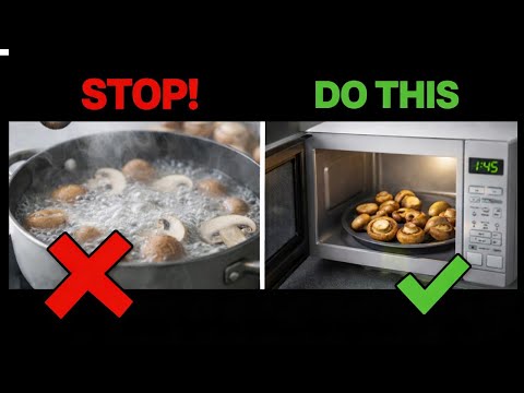 How to Cook & Store Mushrooms for Maximum Health Benefit?