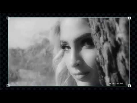 Twelve Bar Blues Band - The Blues Has Got Me