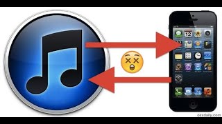 FIXED iTunes Library Doesn