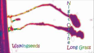 Walkingseeds - Night Of The Long Grass