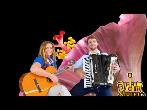 IVINHO STEFANI - ROSA BRANCA POR @SirleieMaurício