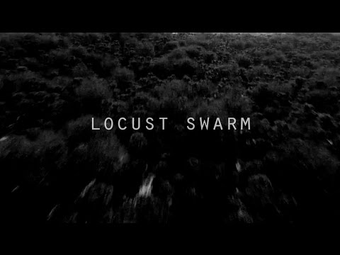 Alex FX - Locust Swarm (feat.  David J)