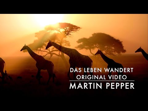 Das Leben wandert | Bleib nicht zurück | Original Video | #MartinPepperOfficial