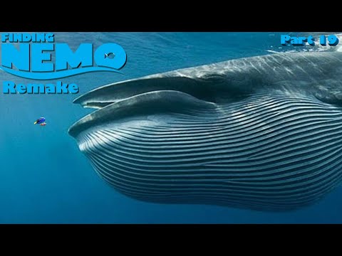 Finding Nemo: The Live Action Remake (Part 19)