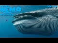 Finding Nemo The Live Action Remake Part 19
