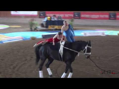 UVT SALZBURG WALS-SCHULLERGUT (AUT), cvi Portogruaro 2019