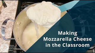 Making Mozzarella Cheese in the Classroom