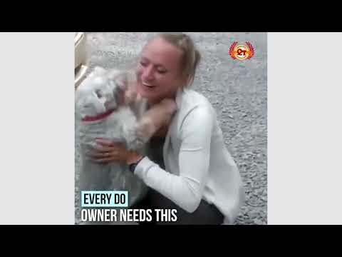 Mini Pet GPS Tracker - Mini GPS tracking finder device auto car pets kids motorcycle tracker track