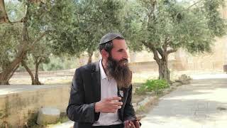 איך תלמידי הראי"ה קוק זצ"ל עולים להר הבית? | הרב אלישע וולפסון (ישיבת הר הבית) - התמונה מוצגת ישירות מתוך אתר האינטרנט יוטיוב. זכויות היוצרים בתמונה שייכות ליוצרה. קישור קרדיט למקור התוכן נמצא בתוך דף הסרטון איך תלמידי הראי"ה קוק זצ"ל עולים להר הבית? | הרב אלישע וולפסון (ישיבת הר הבית) - התמונה מוצגת ישירות מתוך אתר האינטרנט יוטיוב. זכויות היוצרים בתמונה שייכות ליוצרה. קישור קרדיט למקור התוכן נמצא בתוך דף הסרטון