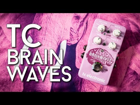 Twisted Stompy Pitches - TC Brainwaves Review