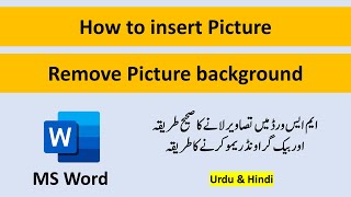 Download the video "How to Insert Picture In MS Word | How to Remove Background In MS Word | Insert Picture"