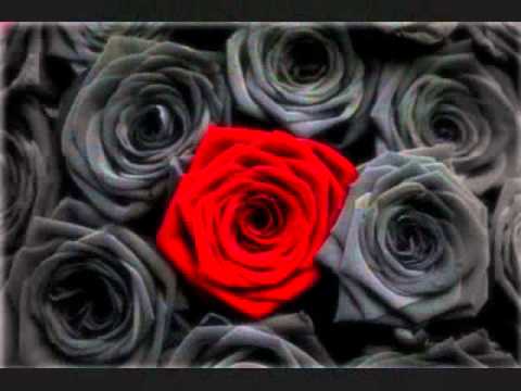 Heartist - Nick Nitti & JMG