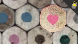 5 Things the Color Pink Doesn't Want You to Know - Science on the Web #91