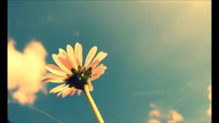 Common feat Martina Topley Bird - Everywhere