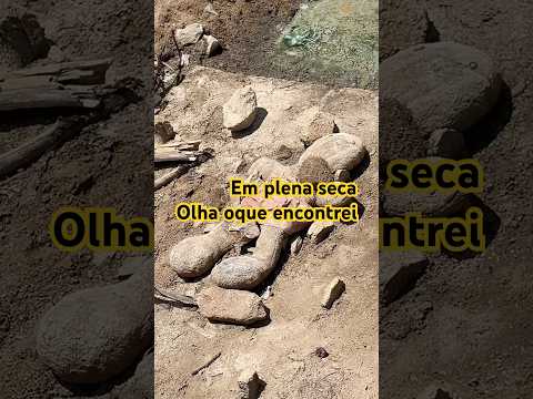 Desafiando a seca: A minha descoberta em ouro Branco AL