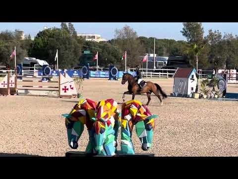 Cashpaid J&F clear round 1.50 Nations Cup of Csi*** Vilamoura