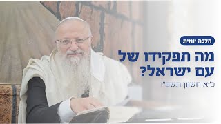 מה תפקידו של עם ישראל? | הרב שמואל אליהו | הלכה יומית | כ״א חשוון תשפ״ו (הרב שמואל אליהו) - התמונה מוצגת ישירות מתוך אתר האינטרנט יוטיוב. זכויות היוצרים בתמונה שייכות ליוצרה. קישור קרדיט למקור התוכן נמצא בתוך דף הסרטון