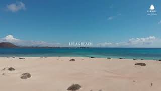 🌴🏖️ Discover the Top 7 Beaches in Fuerteventura 🌊🌞