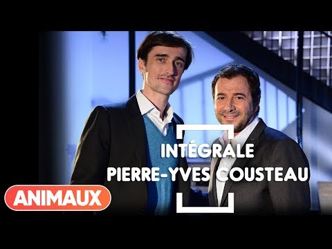 Pierre-Yves Cousteau dans Animaux Stars (intégrale) - Animaux