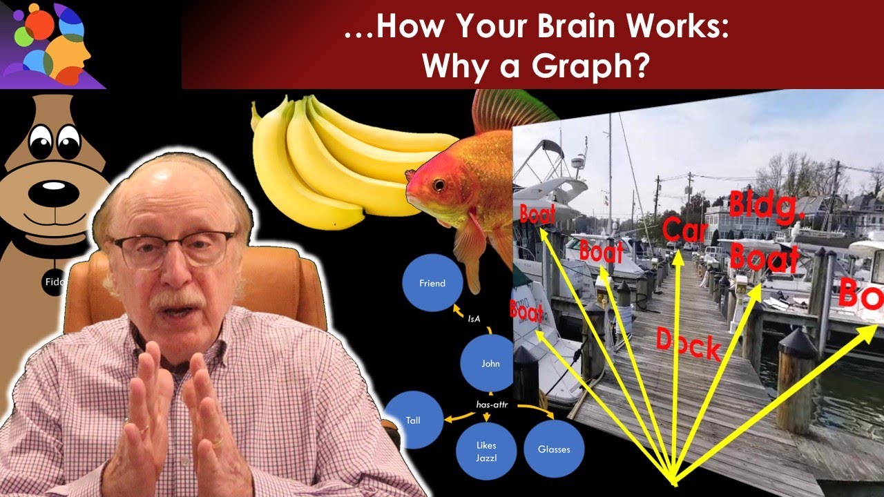 Understanding Consciousness Through Graph Theory and Brain-AI Comparisons