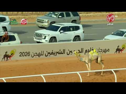 ملخص السباق , مهرجان خادم الحرمين 2026/1/28 ايذاع الجنادرية