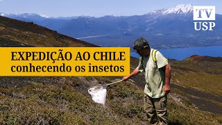 Miniatura do vídeo