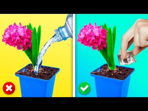 Супер полезни трикове за всички любители градинари 