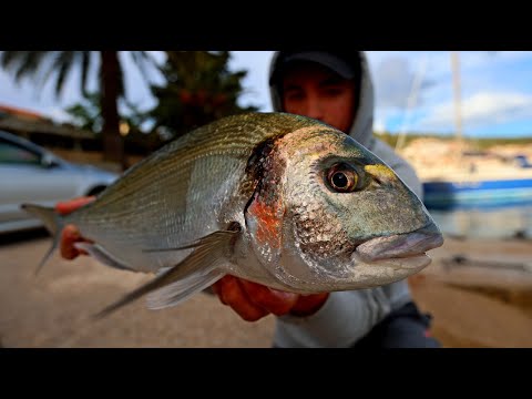 ORADE, KOMARČE, PODLANICE, LOVRATE...  Kako, gdje i kada