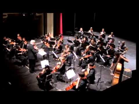 BSA Chamber Orchestra 2013