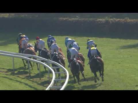 Dielsdorf - Preis der Compass Group   Junge Reiter