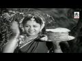 Veeradhi Veeran Sooraadhi Sooran Thangamalai Ragasiyam