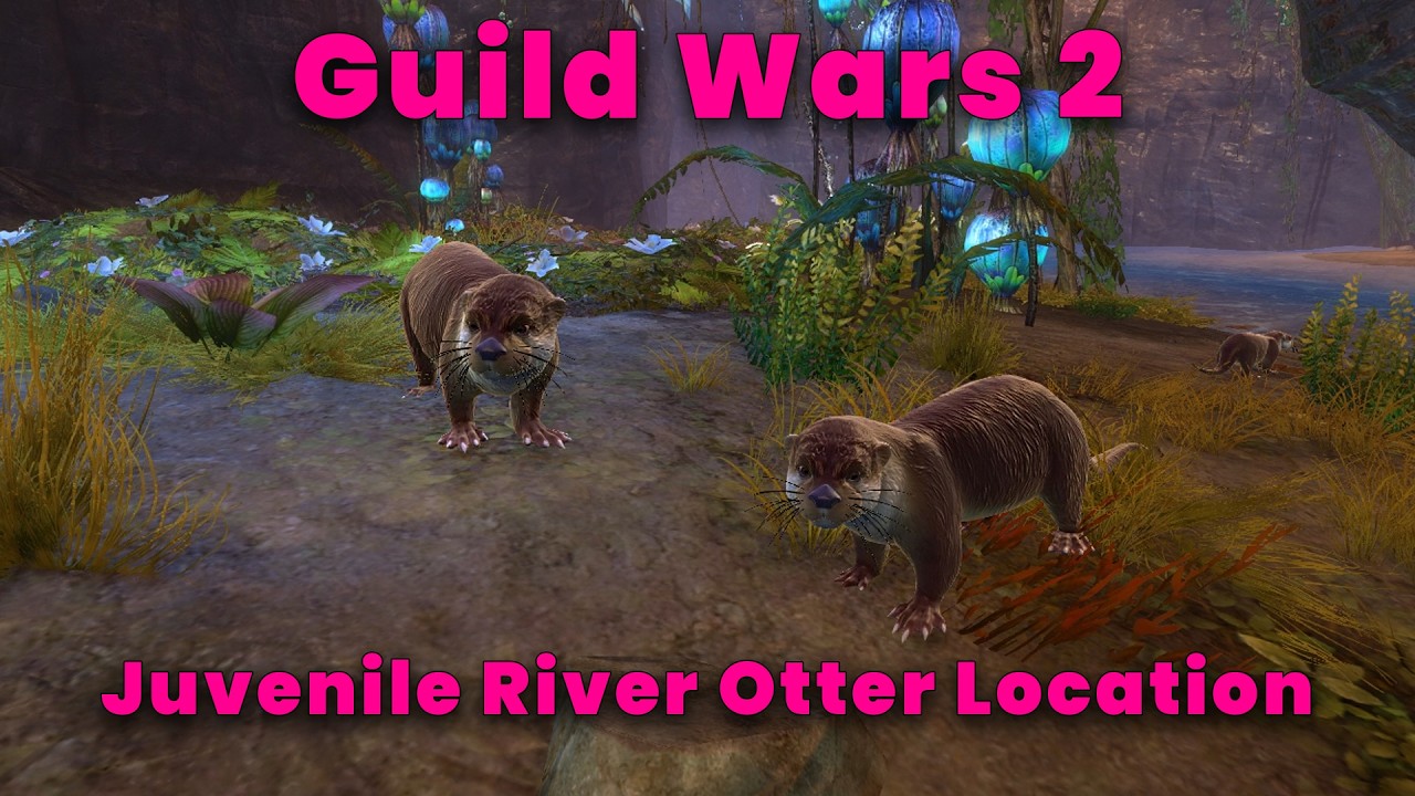 Guild Wars 2 – Juvenile River Otter Location