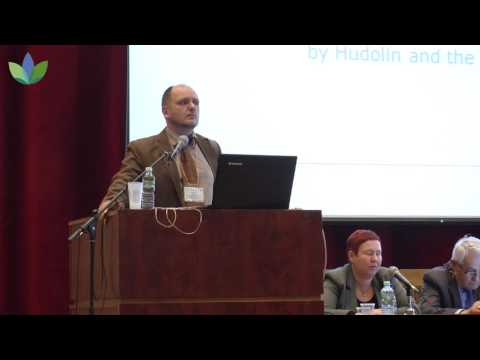 Zoran Zoricic, Croatia