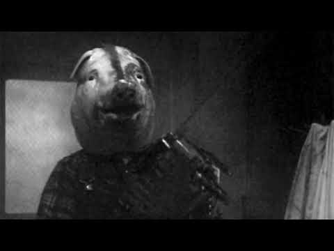 PANDA KPZ - VIN LADEN